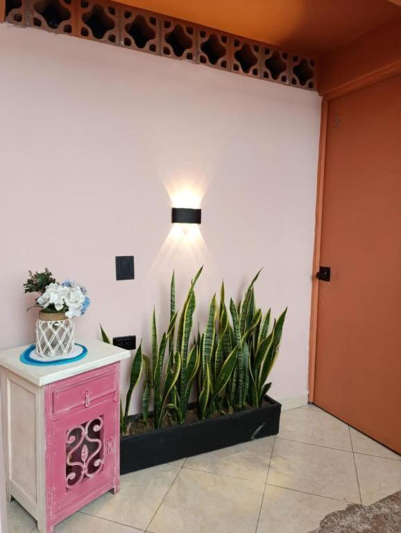 Hostal Casa Primavera Medellin Luaran gambar