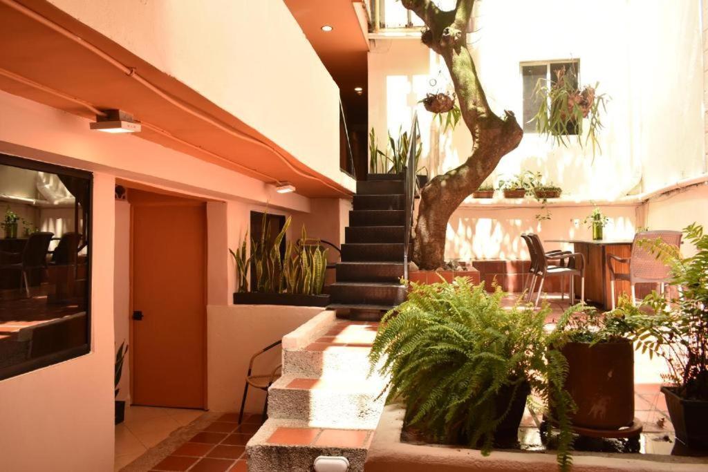Hostal Casa Primavera Medellin Luaran gambar